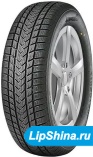 215/40 R17 Gripmax SureGrip eWinter 87V
