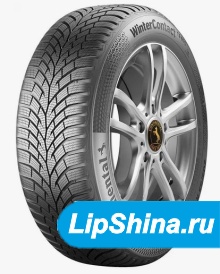 ContiWinterContact TS870